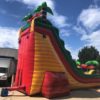 22' Tropical Wet/Dry Slide - Image 4