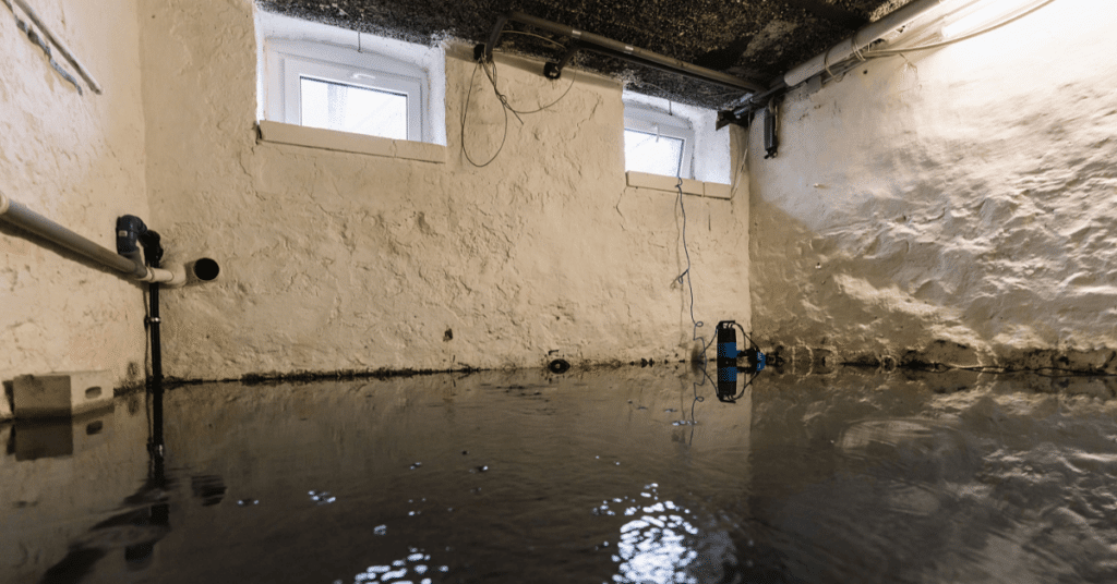 dehumidifier-rental-services